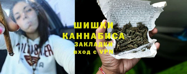 крисы Корсаков