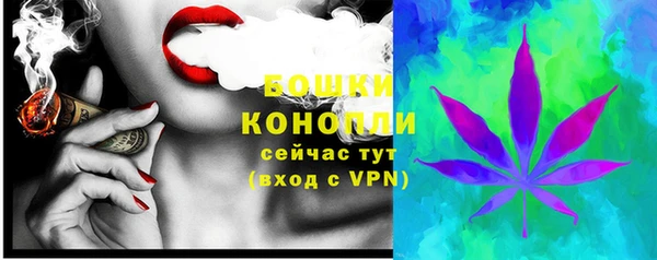 СК Козловка
