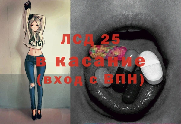 крисы Корсаков