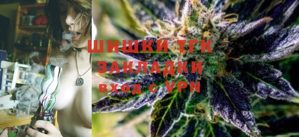 гидропоника Кодинск