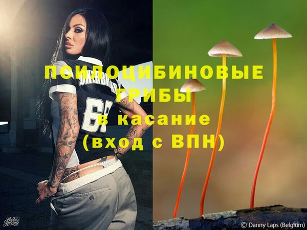 бошки Козельск