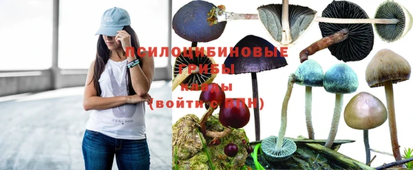 гидропоника Кодинск