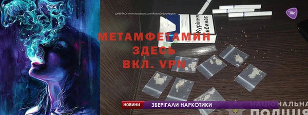 крисы Корсаков