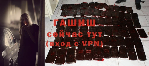 крисы Корсаков