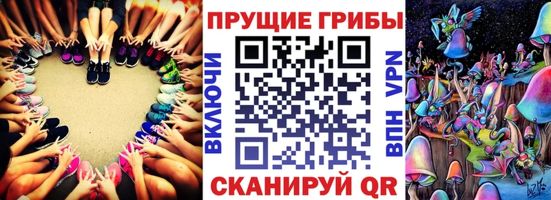 Купить где  Мончегорск  Галлюциногенные грибы MAGIC MUSHROOMS 